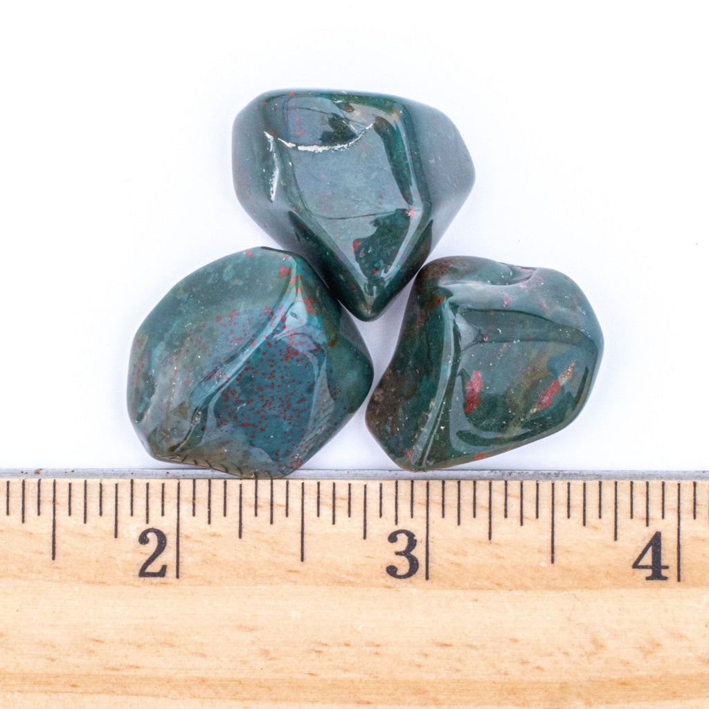 Medium Tumbled Indian Bloodstone Gemstones with Ruler for Size