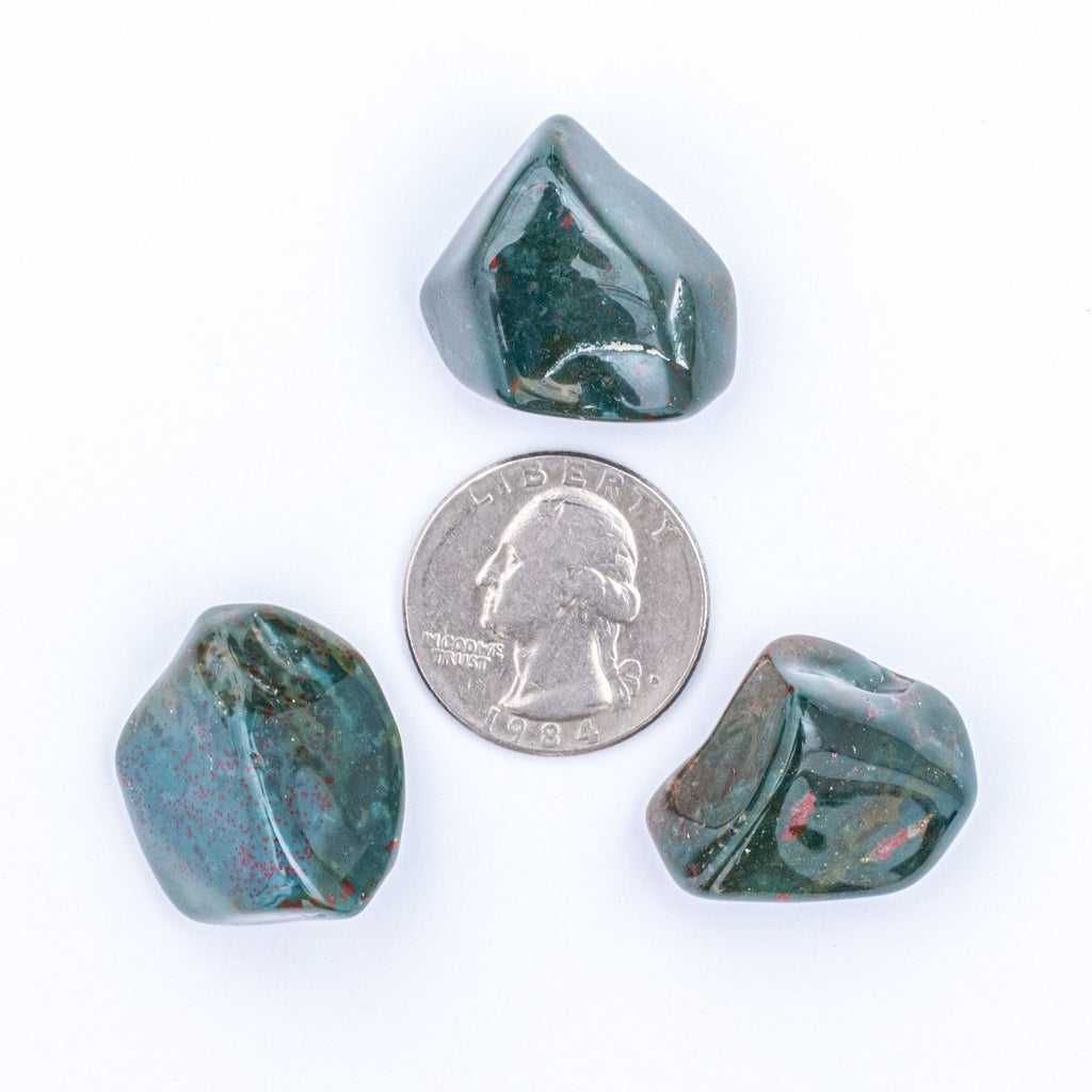 Medium Tumbled Indian Bloodstone Gemstones with Quarter for Size