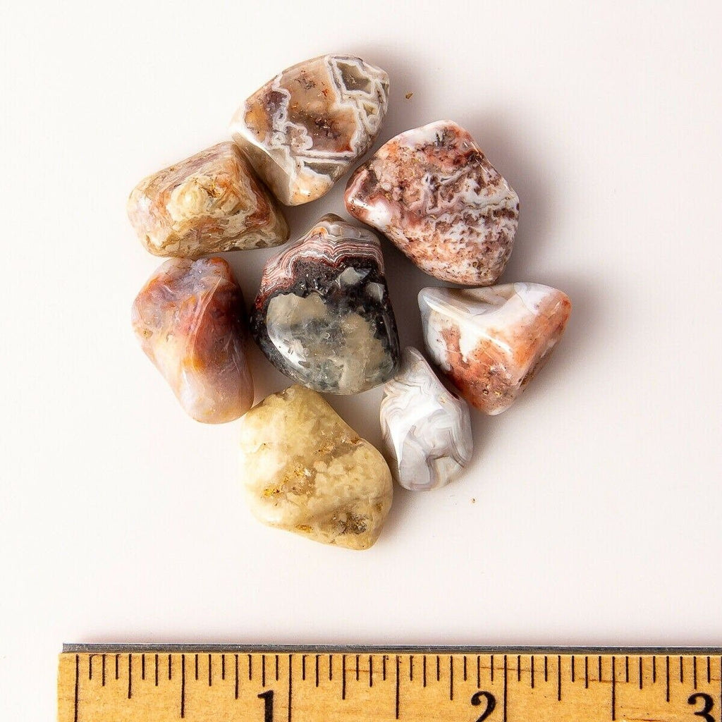 Small Tumbled Mexican Crazy Lace Agate Gemstones with Ruler for Size