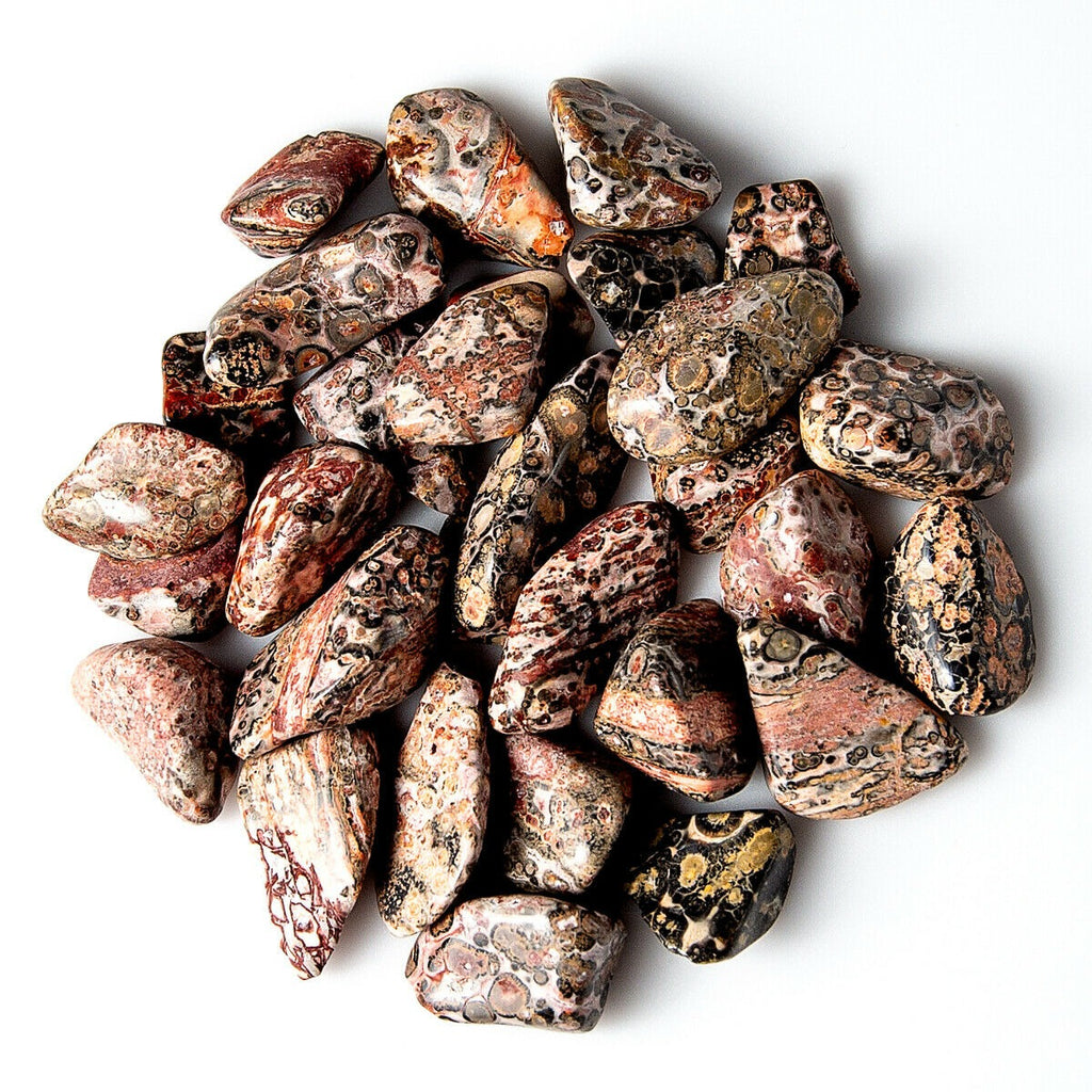 1/4 Pound of Small Polished Leopard Jasper Gemstone Crystals