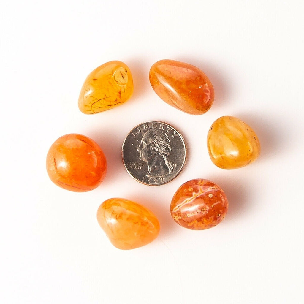 Small Tumbled Carnelian Gemstones with Quarter for Size