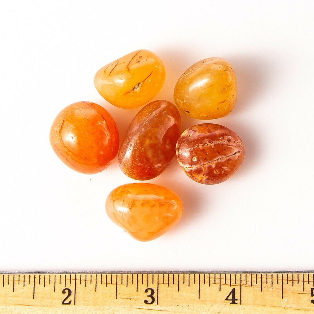 Small Tumbled Carnelian Gemstones with Ruler for Size