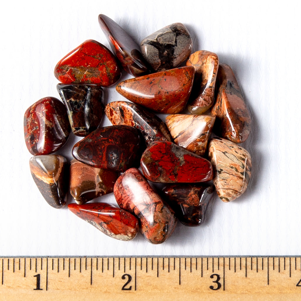 Small Tumbled Brecciated Jasper Gemstones with a Ruler for Size