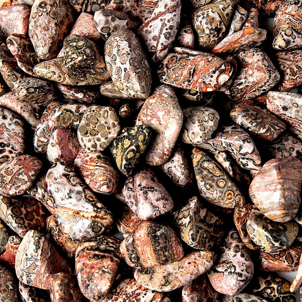 Small Tumbled Leopard Skin Jasper Gemstone Crystals Bulk