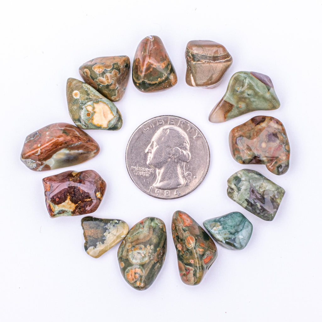 Small Tumbled Rainforest Rhyolite Jasper Gemstones with a Quarter to Show Size