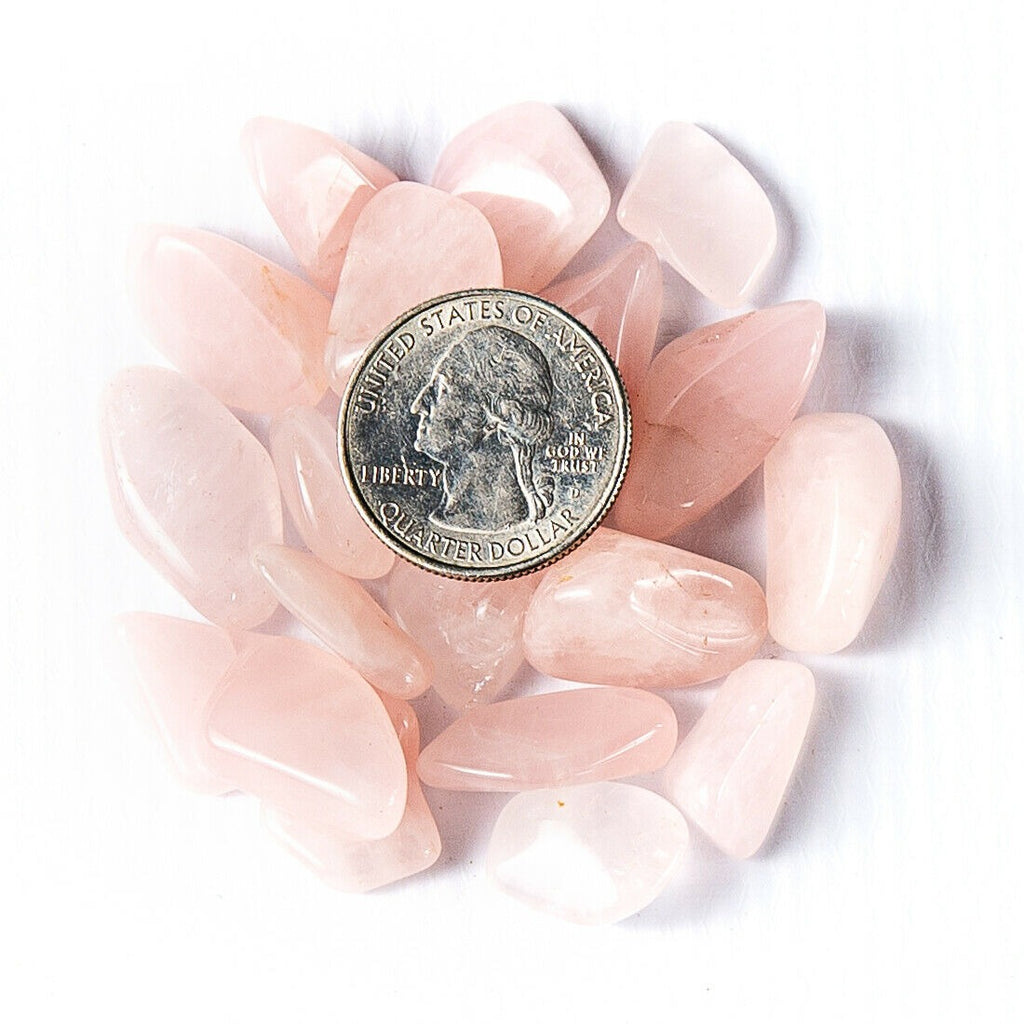 Small Tumbled Rose Quartz Gemstone Crystals with Quarter for Size