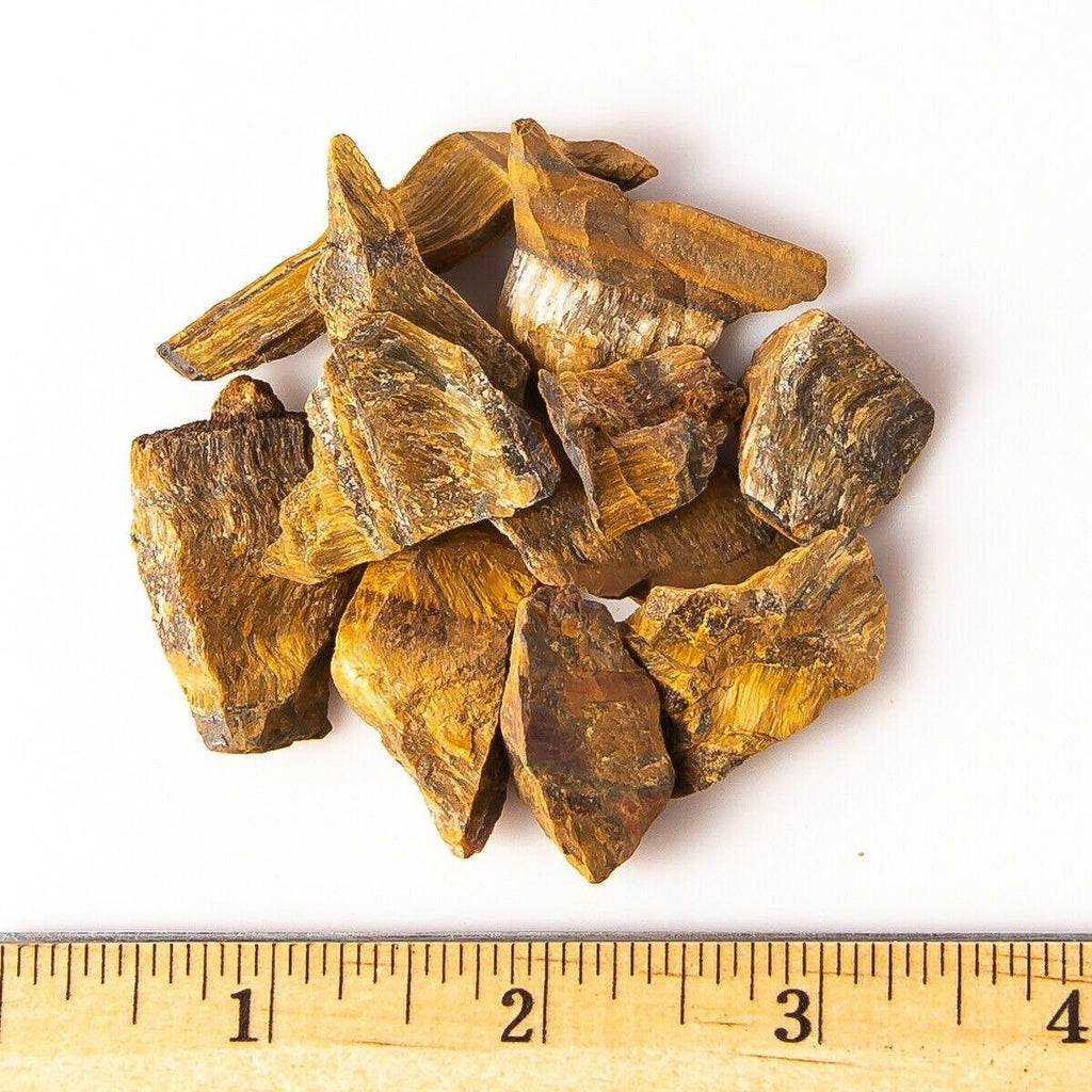 Medium Rough/Raw Gold Tiger's Eye Gemstones with Ruler for Size