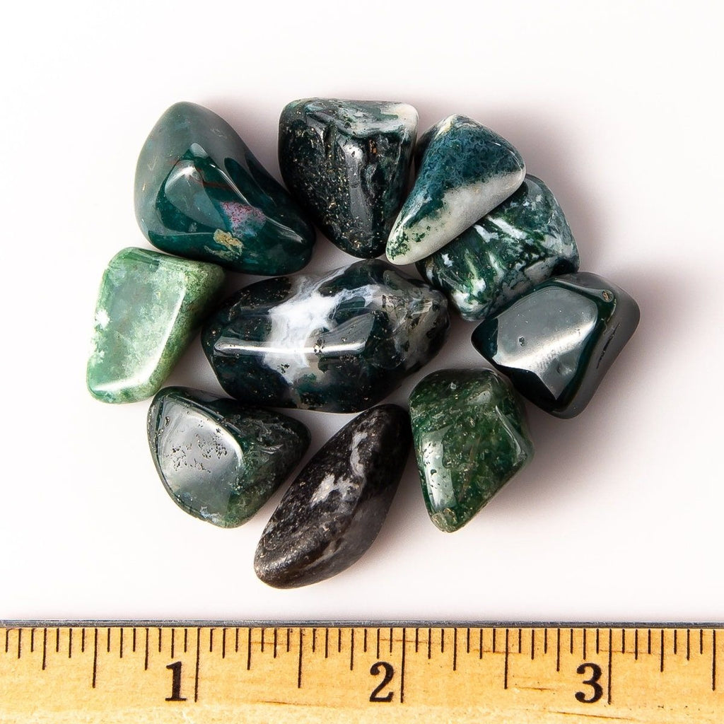 Medium Tumbled Green Moss Agate Gemstones with Ruler for Size
