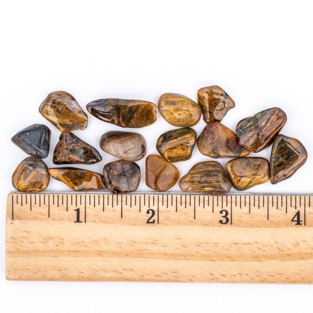 Small Tumbled Lionskin Gemstones with Ruler for Size
