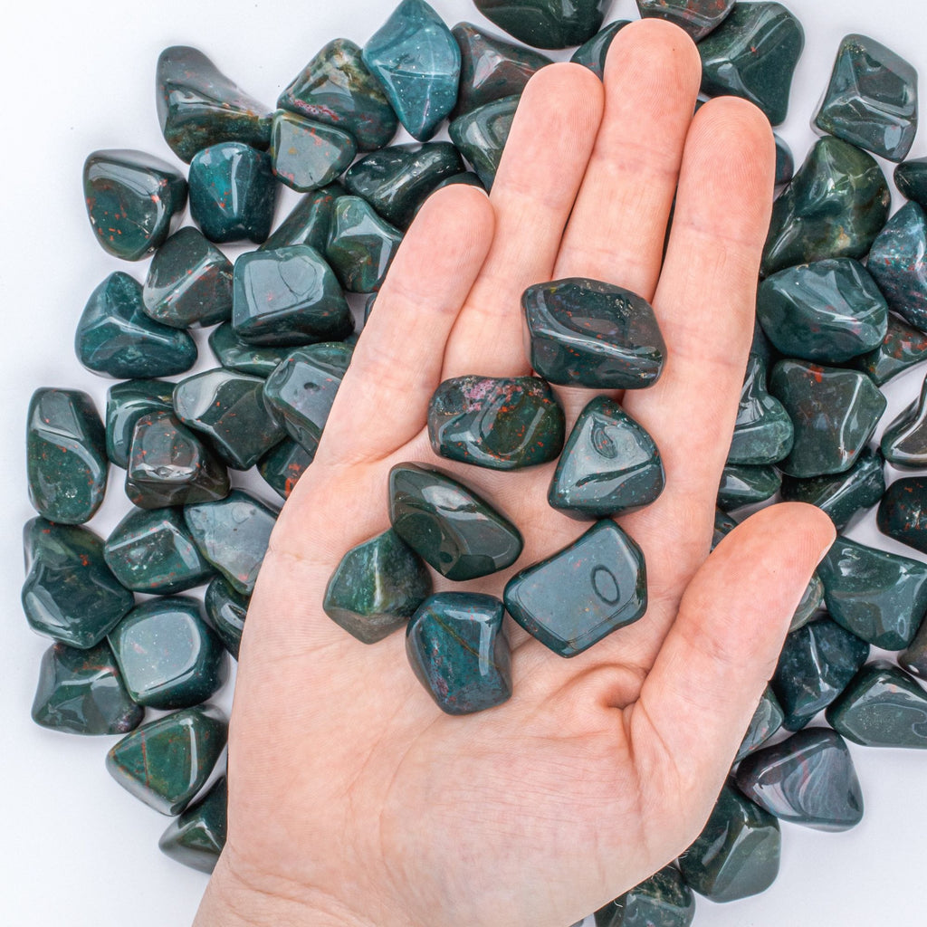 Medium Tumbled Indian Bloodstone Gemstones with Hand for Size