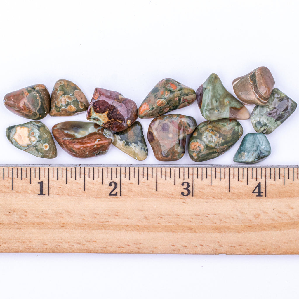 Small Tumbled Rainforest Rhyolite Jasper Gemstones with a Ruler to Show Size