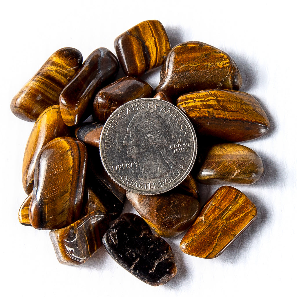 Small Tumbled Golden Tigers Eye Gemstones with a Quarter for Size