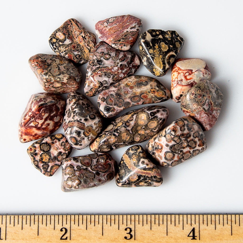 Tumbled Leopard Skin Jasper Crystals Gemstones
