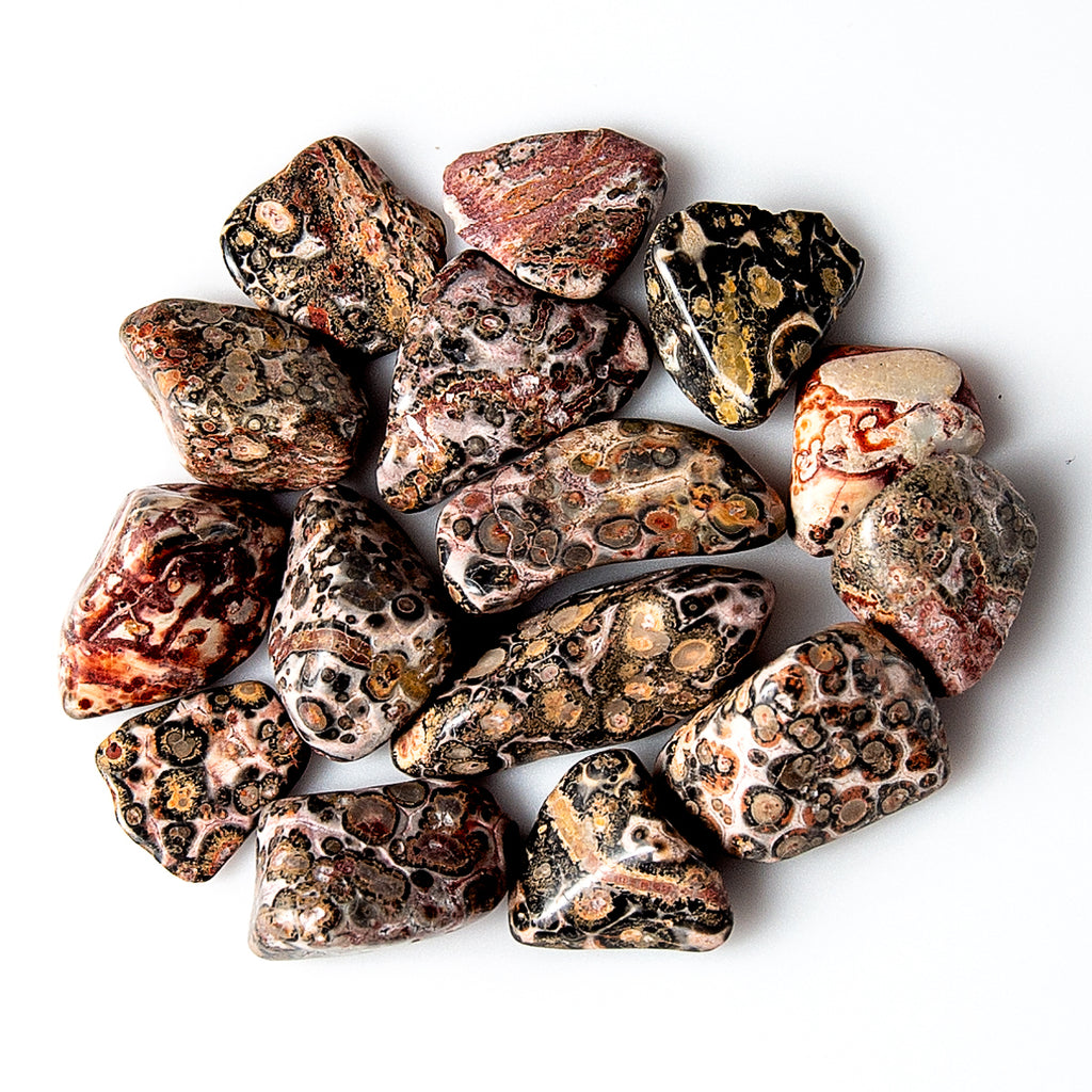 Tumbled Leopard Skin Jasper Crystals Gemstones