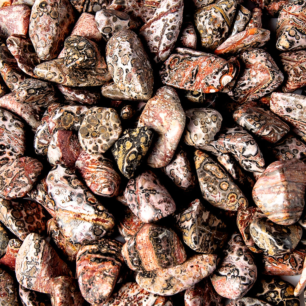 Tumbled Leopard Skin Jasper Crystals Gemstones