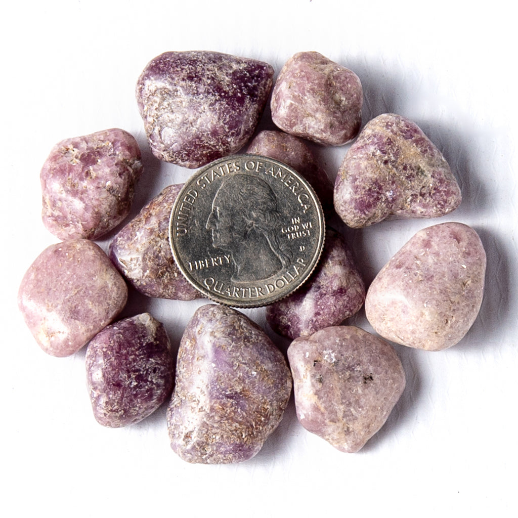 Medium Tumbled Lepidolite Gemstones with a quarter