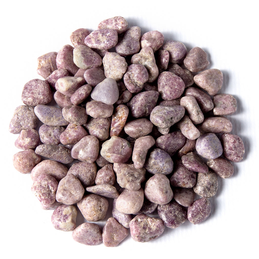 1 pound of tumbled purple lepidolite gemstones