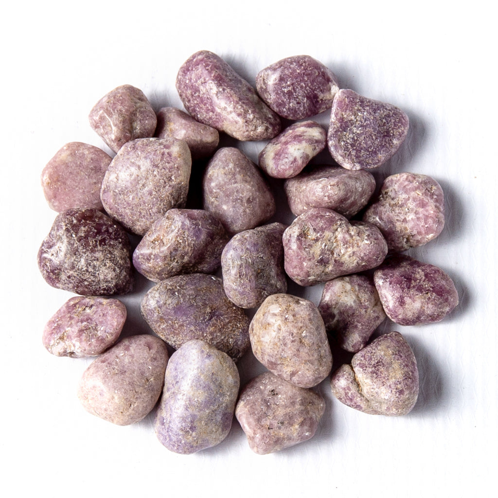 1/4 pound of Tumbled purple Lepidolite Gemstones