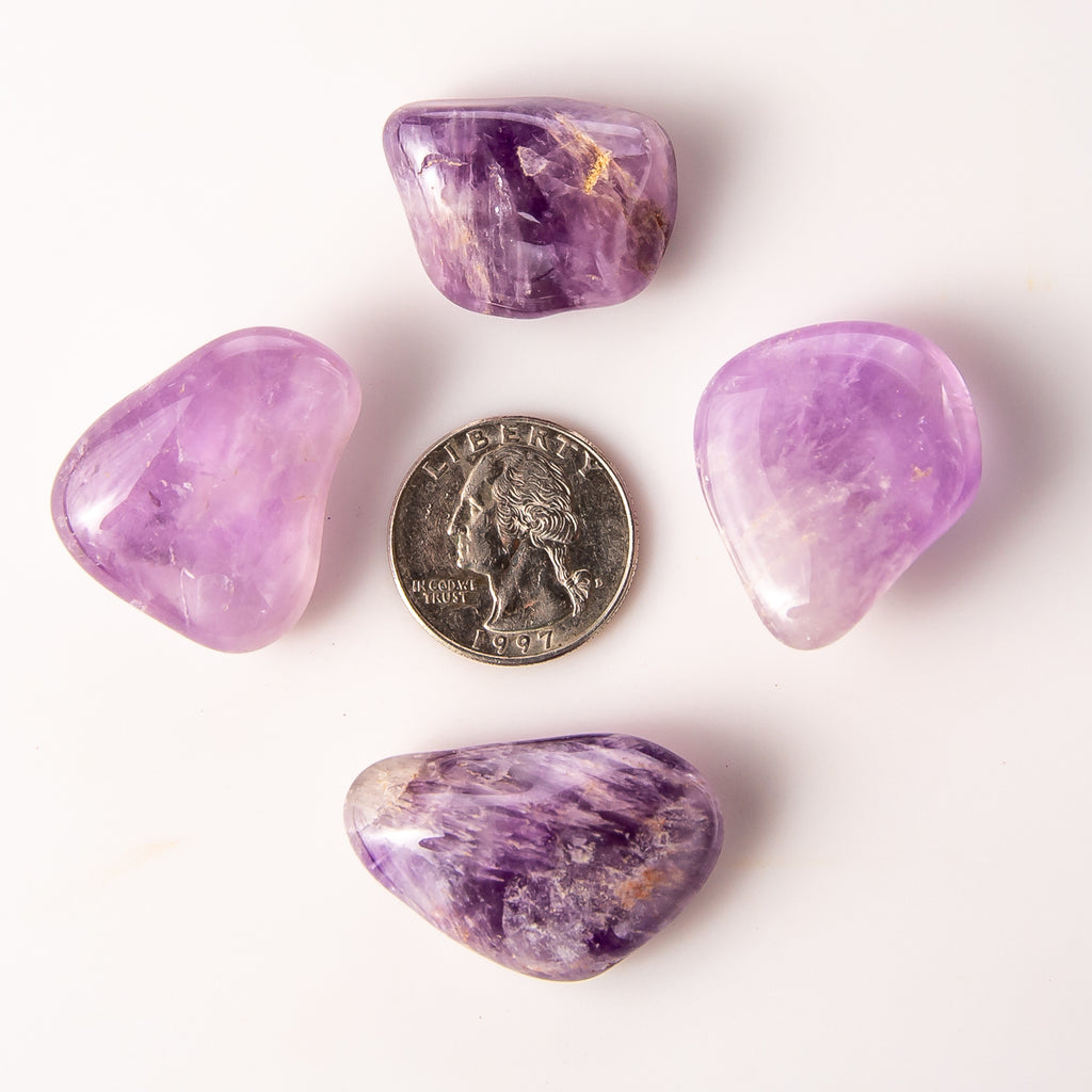 Medium Tumbled Amethyst Gemstones with a Quarter for Size