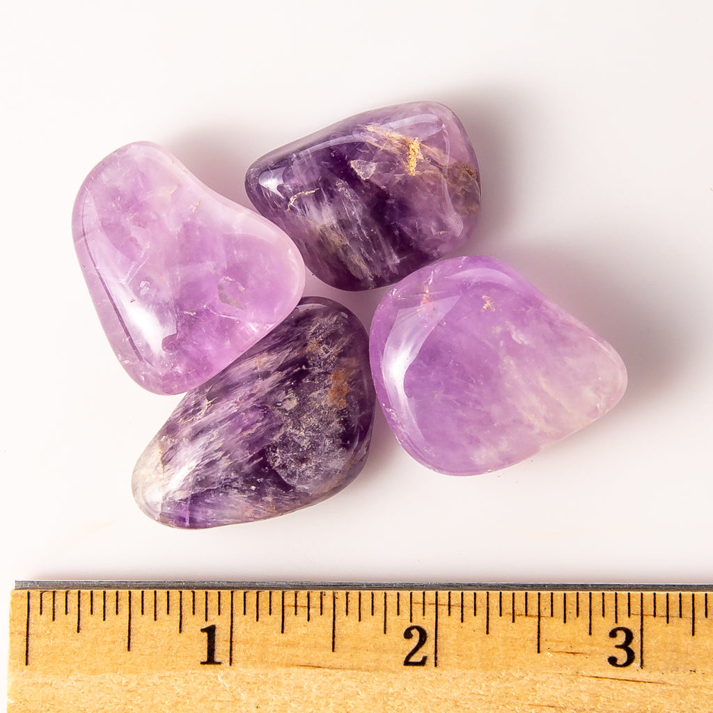 Medium Tumbled Amethyst Gemstones with a Ruler for Size