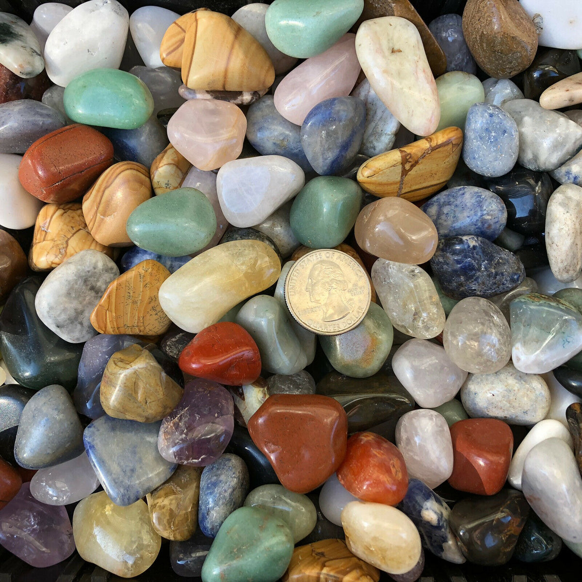Large Tumbled Rocks Natural Assorted Gemstone | Tree of Life Gems