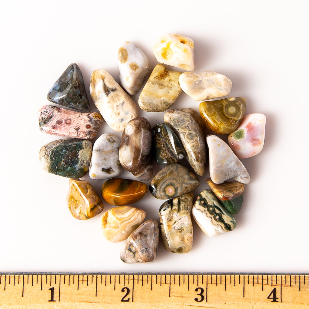 Small Tumbled Ocean Jasper Gemstones with a Ruler for Size