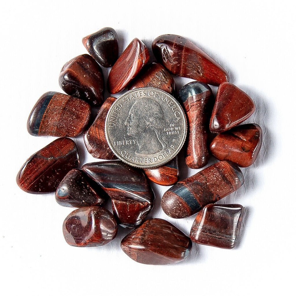 Small Tumbled Red Tigers Eye Gemstones with a Quarter for Size