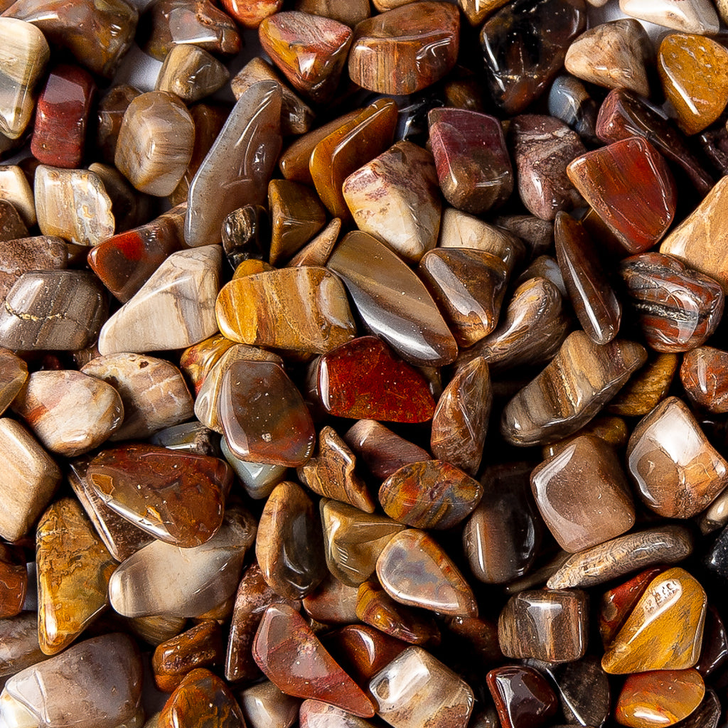 Small Tumbled Petrified Wood Fossil Gemstone Crystals Bulk