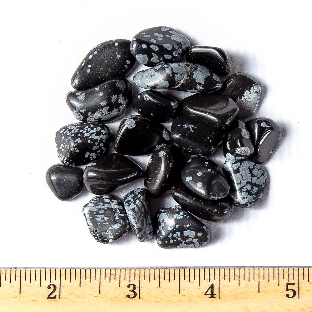 Small Tumbled Snowflake Obsidian Gemstones with a Ruler  for Size