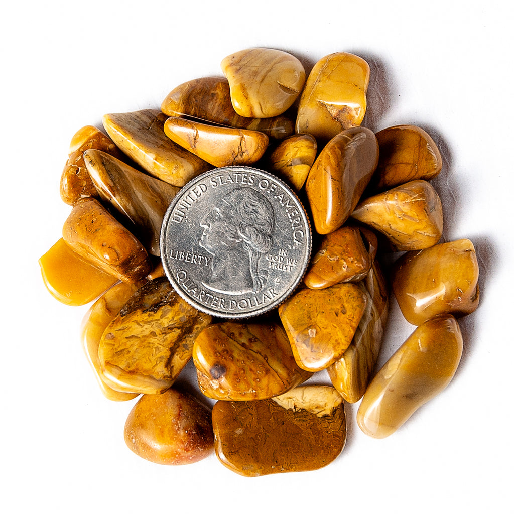 Small Tumbled Yellow Jasper Gemstones with Quarter for Size