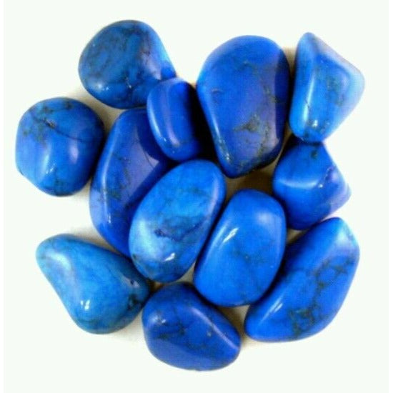Tumbled Blue Turquoise Howlite Gemstones