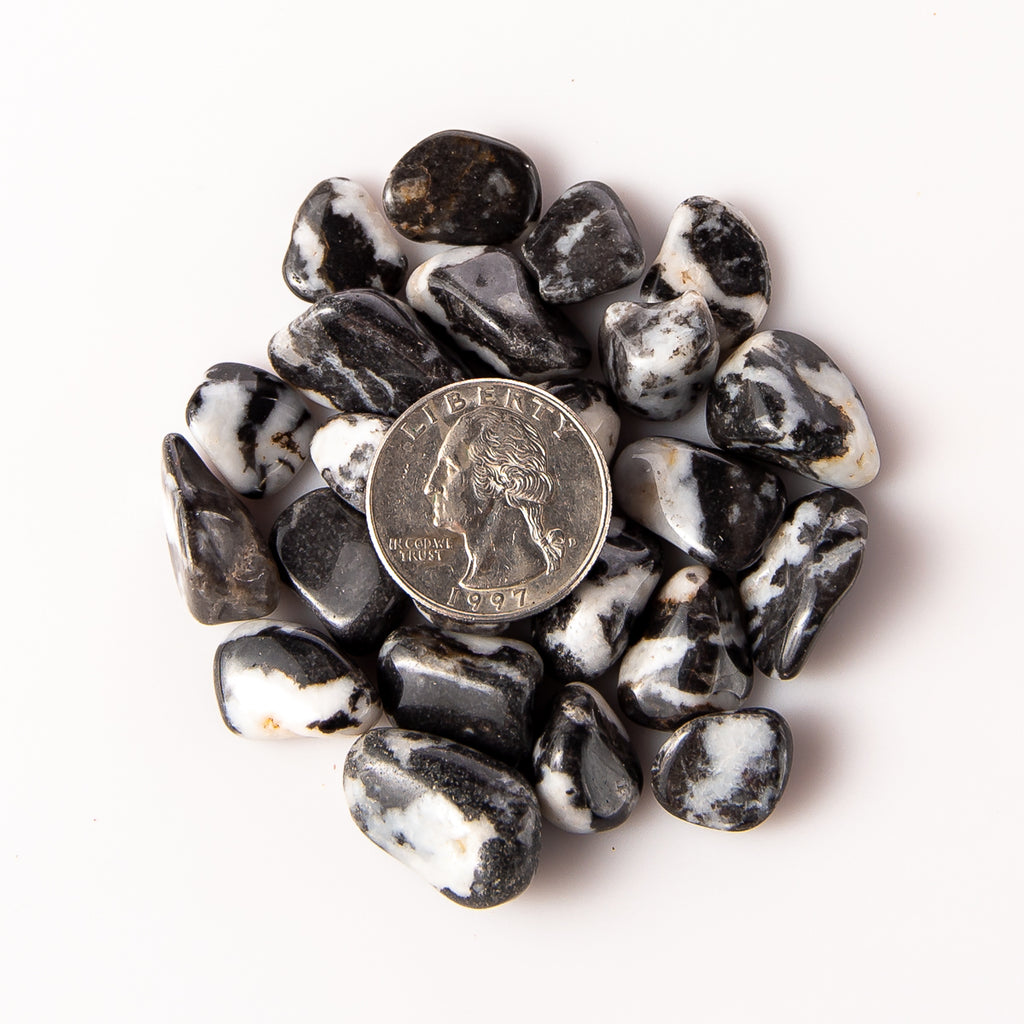 Small Tumbled Zebra Stone Gemstones with a Quarter for Size