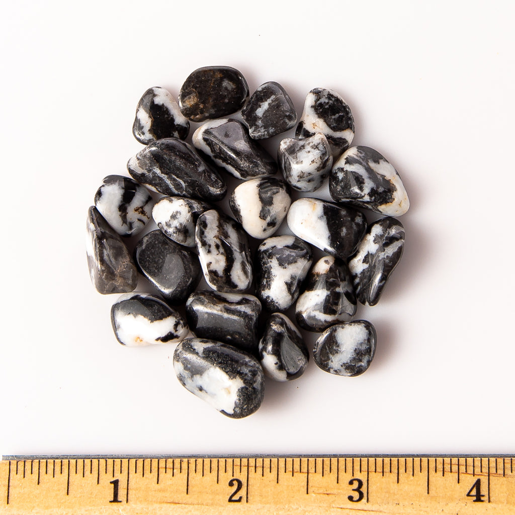 Small Tumbled Zebra Stone Gemstones with a Ruler for Size